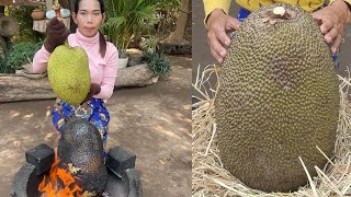 Two recipes jackfruit in my village [upl. by Hutchison]