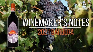 2021 Barbera Winemakers Notes [upl. by Grose467]