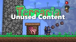 Unused Content Hidden in Terraria [upl. by Rubenstein450]