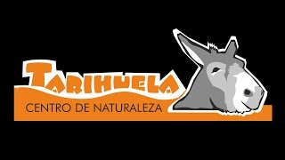 CENTRO DE NATURALEZA TARIHUELA AVENTURA Y DIVERSIÓN [upl. by Dira]