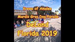 Krewe of Amalee Mardis Gras Dog Parade DeLand Florida 2019 [upl. by Kered]