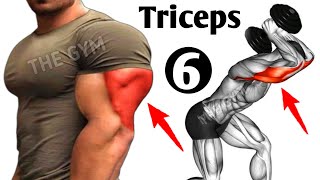 6 Best Exercises To Get Big Triceps Workout  THE GYM [upl. by Rabkin]