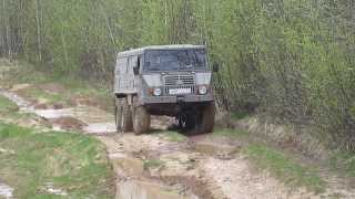 pinzgauer 6x6 [upl. by Saxen]