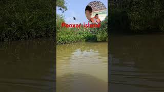 Poovar island mangrove forest boating in the jungle [upl. by Hestia885]