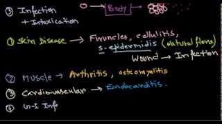 Staphylococcus infection [upl. by Cusick]