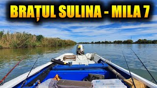 PESCUIT LA CRAP PE DUNĂRE  BRAȚUL SULINA MILA 7 [upl. by Koral]