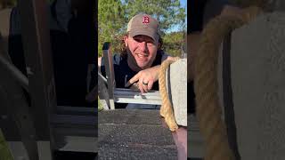 The Most Simple Roof Repair EVER [upl. by Vergne]