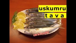 USKUMRU TAVA  NAR GİBİ  MACKEREL FİSH [upl. by Paynter]