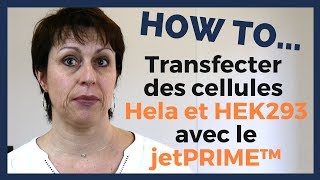 Best Practice  Transfection de cellules Hela et HEK293 avec le jetPRIME™ [upl. by Ree]