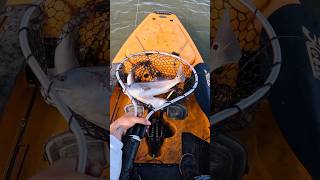 Catching TWO Redfish at One Time [upl. by Faye]