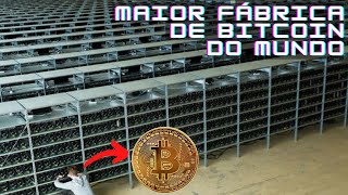 Maiores Mineradoras de Bitcoin do Mundo [upl. by Innus305]