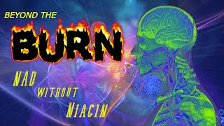 Beyond the burn NAD without Niacin [upl. by Assirehs]