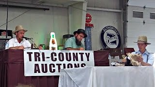 Tri County Consignment Auction [upl. by Chelsy]