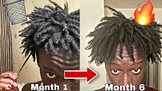 My Freeform Dread Journey Explained INSANE GROWTH [upl. by Cleveland118]