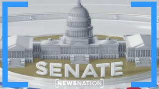 Democrats have uphill battle to hold Senate majority  NewsNation Now [upl. by Enelec]