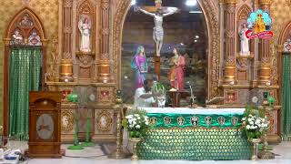 🔴 Live 19 September 2024  Vailankanni Shrine Basilica [upl. by Arline]