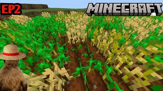 If monkey was a farmer  Minecraft  Minecraft hindi  EP2 [upl. by Atteuqahs170]