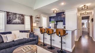 817 Yarrow St Little Elm TX 75068 [upl. by Drahnreb]