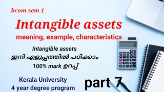 Intangible assets meaning example characteristicsin Malayalam  Kerala University 4 year degree [upl. by Vassell324]