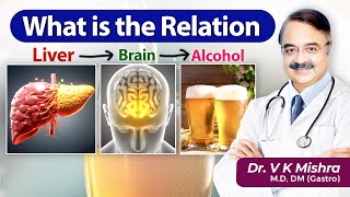 What is the relation liver brain alcohol  ALCOHOL AND HEALTH RISKS [upl. by Assirhc]