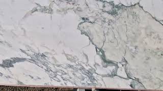 Breccia Capraia polished block 294 2cm slab 77 [upl. by Nnylirak]