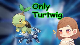 Turtwig Run Champion Pokemon Brilliant Diamond [upl. by Estele909]