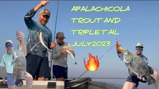 Florida Inshore Saltwater Fishing July 2023 [upl. by Sorilda515]