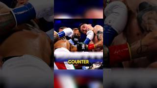 Gervonta Davis And Povetkin KO Counter [upl. by Hedy645]