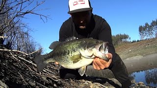 Black Bass Top water Explosion blackbass topwater explosion lake [upl. by Ermin675]