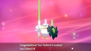 How to Evolve Galarian Farfetchd into Sirfetchd  Pokémon Sword amp Shield [upl. by Nami]