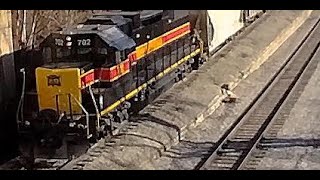 LIVE 3 hour STREAM 2023 Trains in Northern IllinoisIllinois Valley Trains  IAIS Buzzi IR BNSF [upl. by Nawyt182]