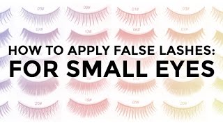 How to Apply False Eyelashes For Small Eyes [upl. by Ykcin584]