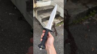 The BEST Legion Dagger You Have EVER Seen shortsviral [upl. by Yellek]