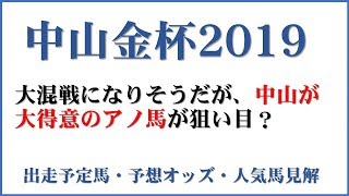 「中山金杯2019」出走予定馬・予想オッズ・人気馬見解 [upl. by Ahtnamys260]