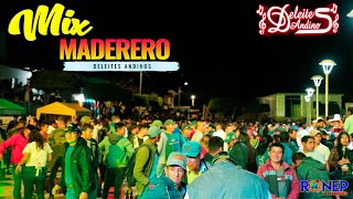 DELEITES ANDINOS  MIX MADEREROC  CONCIERTO SONDORILLO [upl. by Retxed]