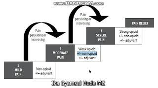 WHO  Analgesic ladder for management of pain [upl. by Onabru997]