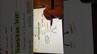 Glucose Catabolism COM [upl. by Pacian]