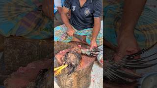 Amazing Special Desi Chicken Cutting Skills In Bangladesh Chicken Market 😱 shorts [upl. by Jaworski434]