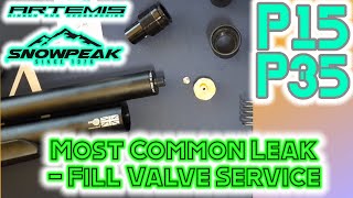 P15 amp P35 Most Common Leak Fix  Inlet Fill Valve [upl. by Huan]