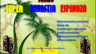 canta vallenato lizandro meza [upl. by Ornas868]