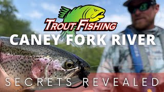 HOW TO TROUT FISH the Caney Fork River [upl. by Ahsiruam]