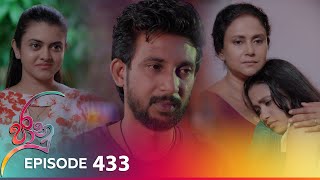 Jaanu  Episode 433  20241022  ITN [upl. by Lleihsad]