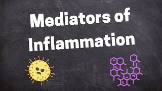 Chemical Mediators of Inflammation [upl. by Weinman]