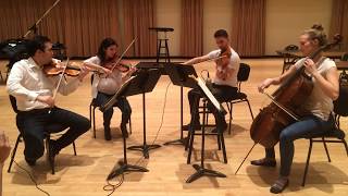 Haydn  Emperors Hymn from String Quartet in C major Op 76 [upl. by Ethyl]