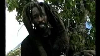 Ras Bushman  Rumanan Official video [upl. by Anairam815]