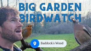 Big Garden Birdwatch  Badocks Wood [upl. by Millicent]