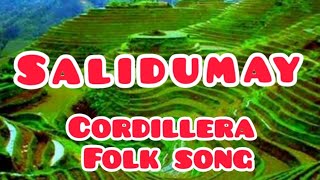 Music of Cordillera  Salidumay  Cordillera Folk Song  Grade 7  Learning [upl. by Hareehahs]