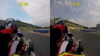 Felipe Nardo  Rotax Max 125  Steel Ring  082024  Green Vega vs Mojo D5 tyres [upl. by Suk646]