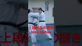 Mori Shihan「上段突きを捌く」森師範  Face punch vs Aikido  Aikido Yoshinkan Brisbane Dojo 合氣道養神館豪州道場 [upl. by Ahtimat]