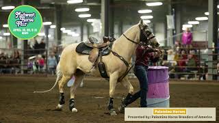 Gorgeous Palomino Horses at Midwest Horse Fair [upl. by Ardnosac]